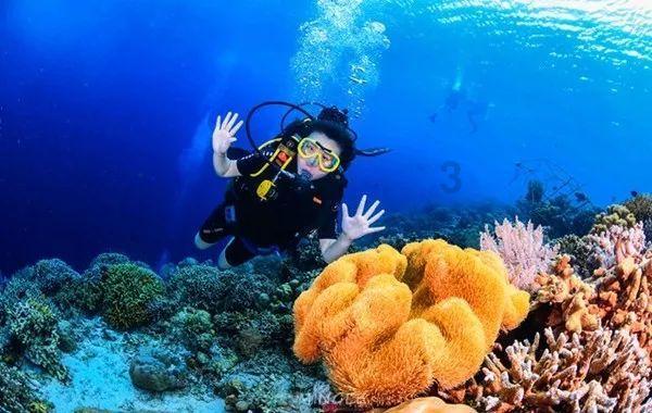 烟台市综合医院及专科医院中西医结合质控中心成立大会顺利召开